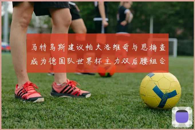 马特乌斯建议帕夫洛维奇与恩梅查成为德国队世界杯主力双后腰组合